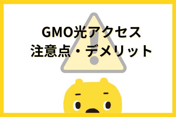 GMO光アクセス注文点・デメリット